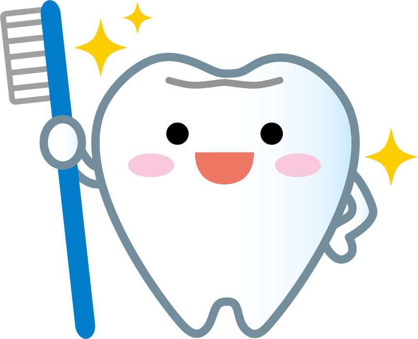 歯ブラシの交換時期、ご存じですか？