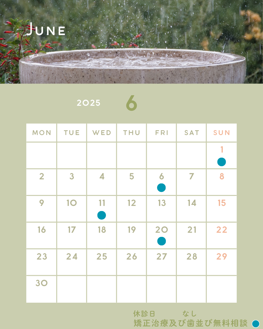 6月の休診日と矯正治療および歯並び無料相談の日程のお知らせ