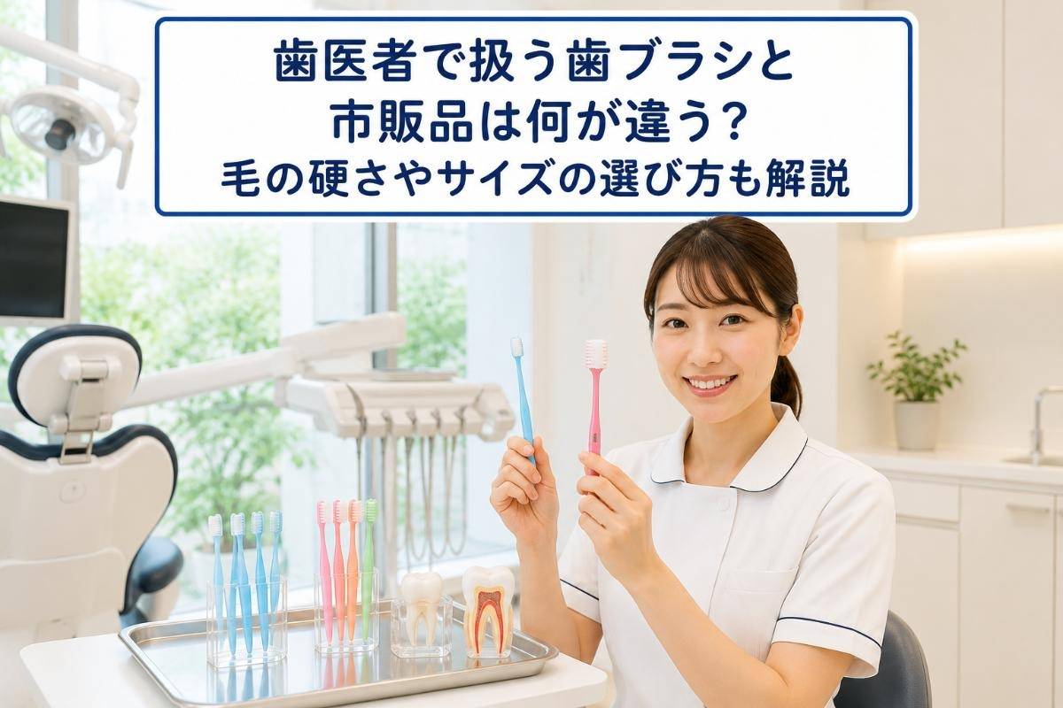歯医者で扱う歯ブラシと市販品は何が違う？毛の硬さやサイズの選び方も解説